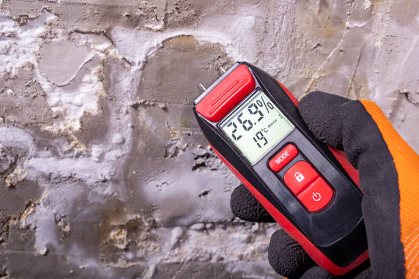 Best Residential Mold Removal  in Knightstown, IN